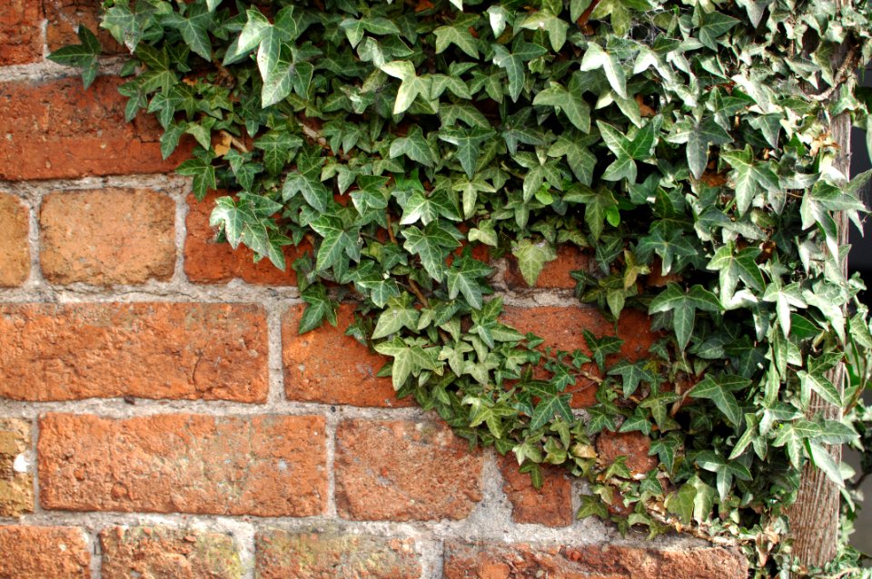 Stafford, United kingdom, Brick wall