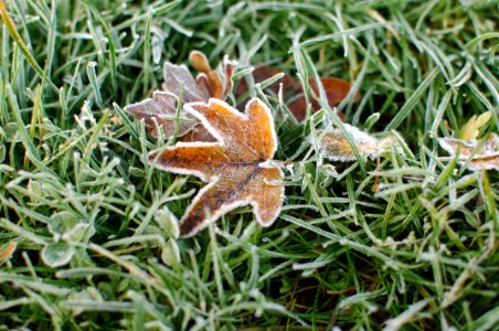 Stafford, United kingdom, Cold
