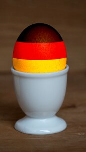 Em photoshop chicken eggs