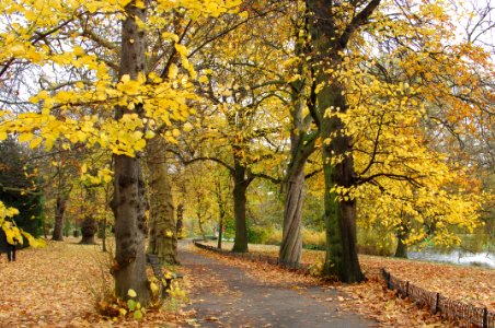 Regents park, London, United kingdom