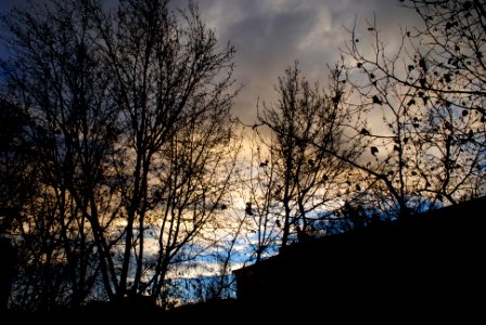 Madrid, Spain, Beauty