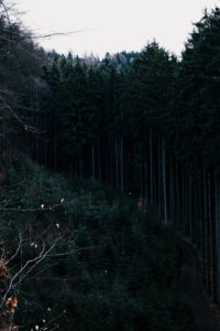 Bohemian paradise,  esk  r j, Czechia
