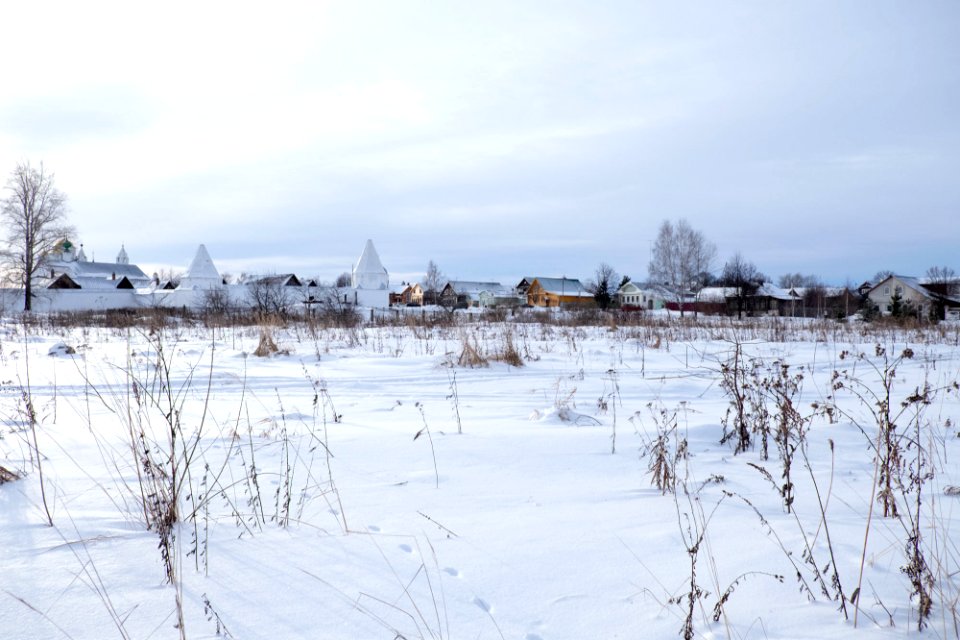 Winter, Plants, Church