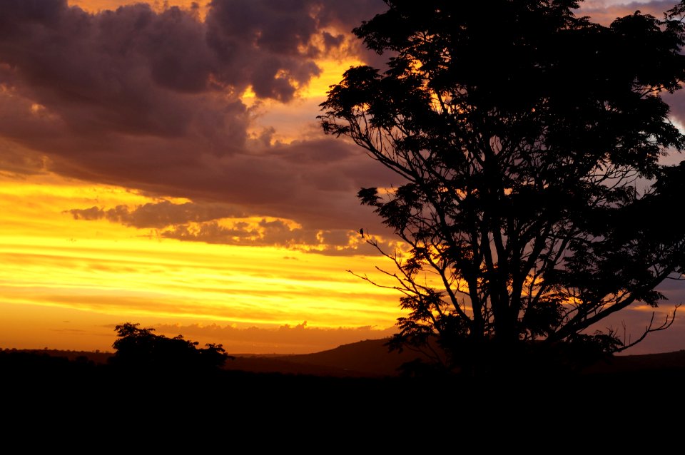 South africa, Butterworth, Silhouette