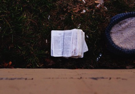 white printer paper on green grass photo