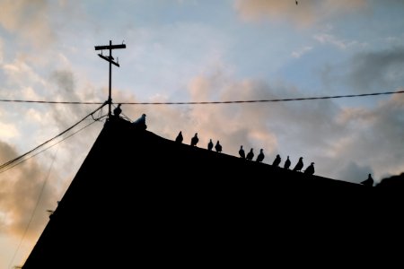 Pantai ampenan, Indonesia, Roof