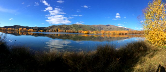 New zeal, Lake tekapo, Scenery