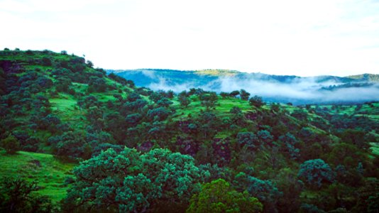 Madera, Mexico, Nature