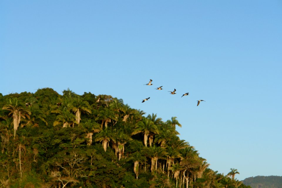 Brazil, Hotel do frade golf resort, Angra dos reis