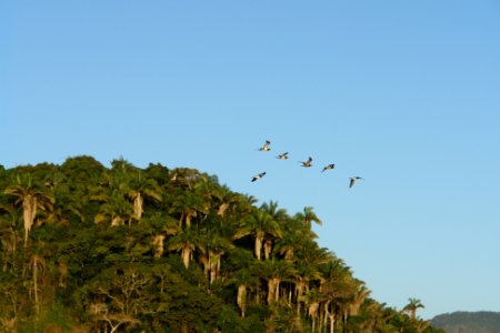 Brazil, Hotel do frade golf resort, Angra dos reis