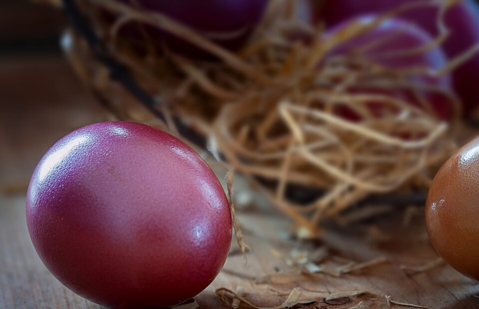 Colored colored egg easter