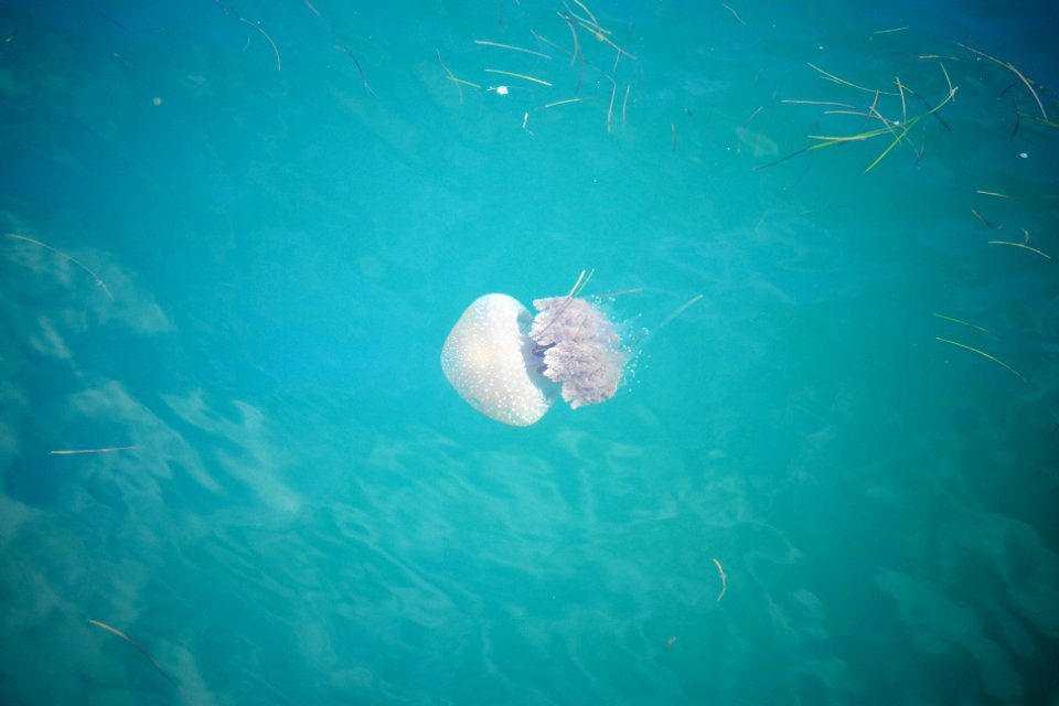 San diego, San diego convention center, United states