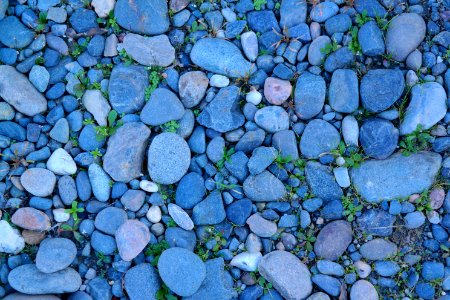Gold river, United states, Outdoors