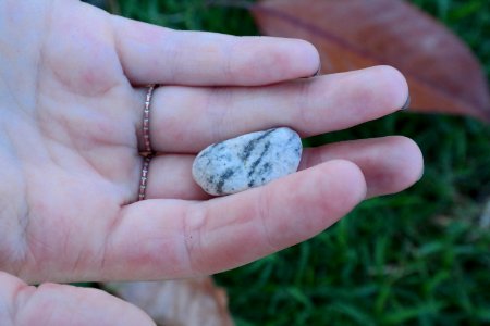 Coronado, United states, Leaf
