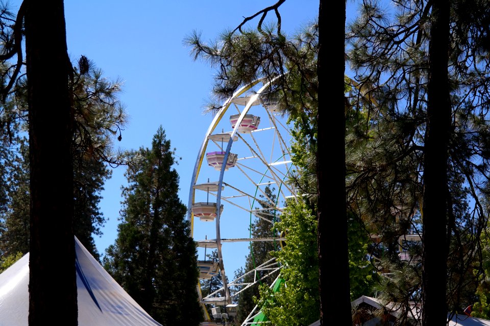 Grass valley, United states, Carnival