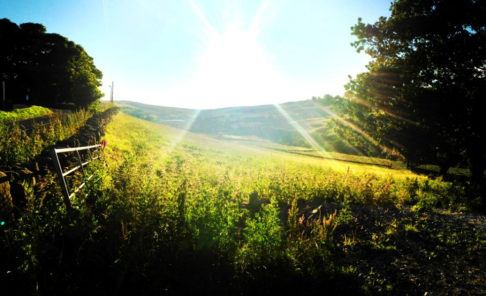Stanbury, United kingdom, Field