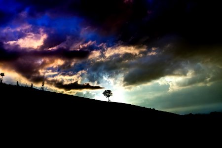 silhouette of tree on top of hill under cloudy sky