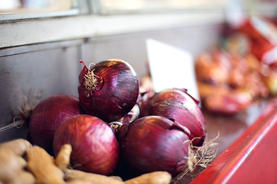 Bern, Switzerl, Healthy