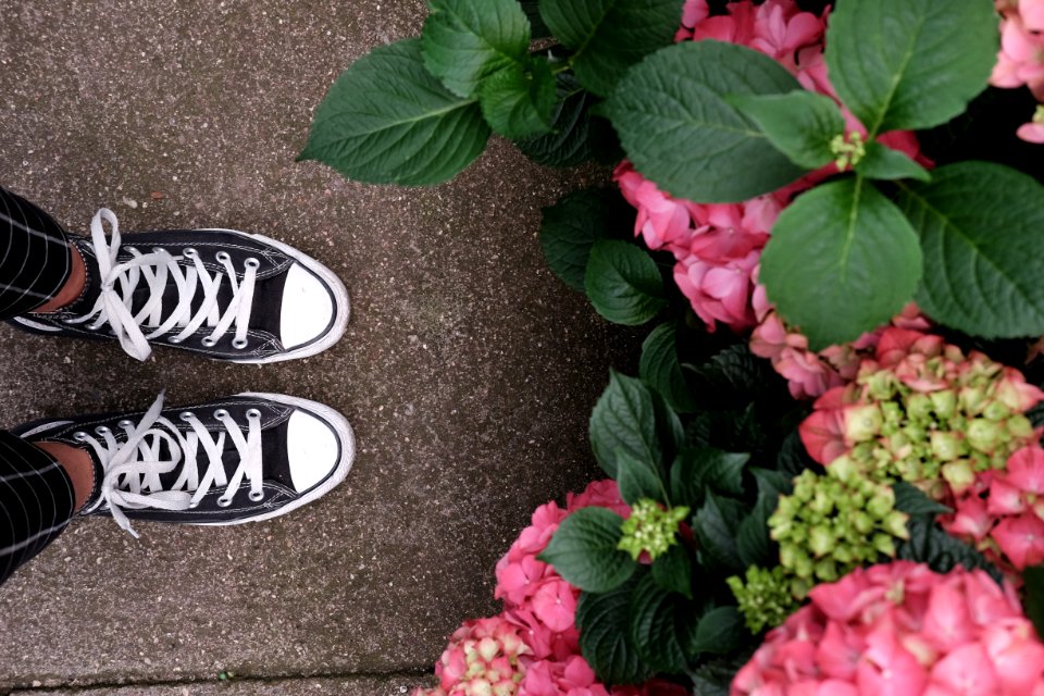 Spring, Feet, Flowers