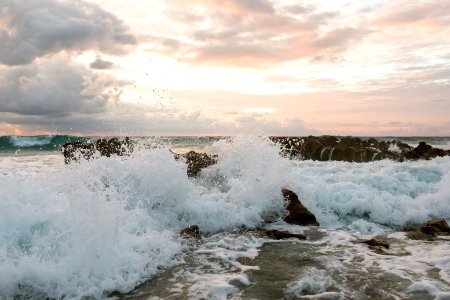 Coral cove, Jupiter, Ocean