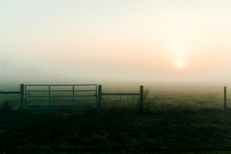 Farm, Sunrise, Fog