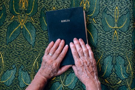 person holding bible photo