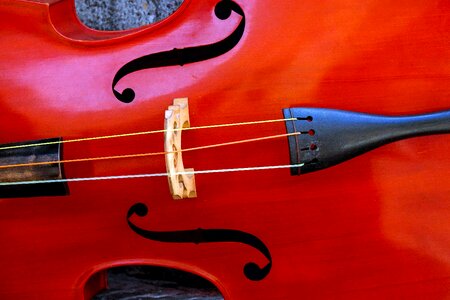 Instrument stringed instrument string photo