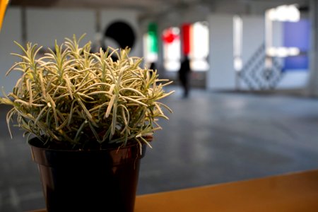 Milano, Italy, Base milano