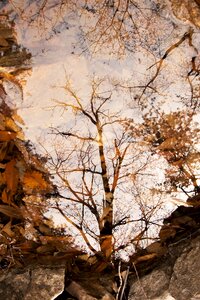 Lake the leaves landscape