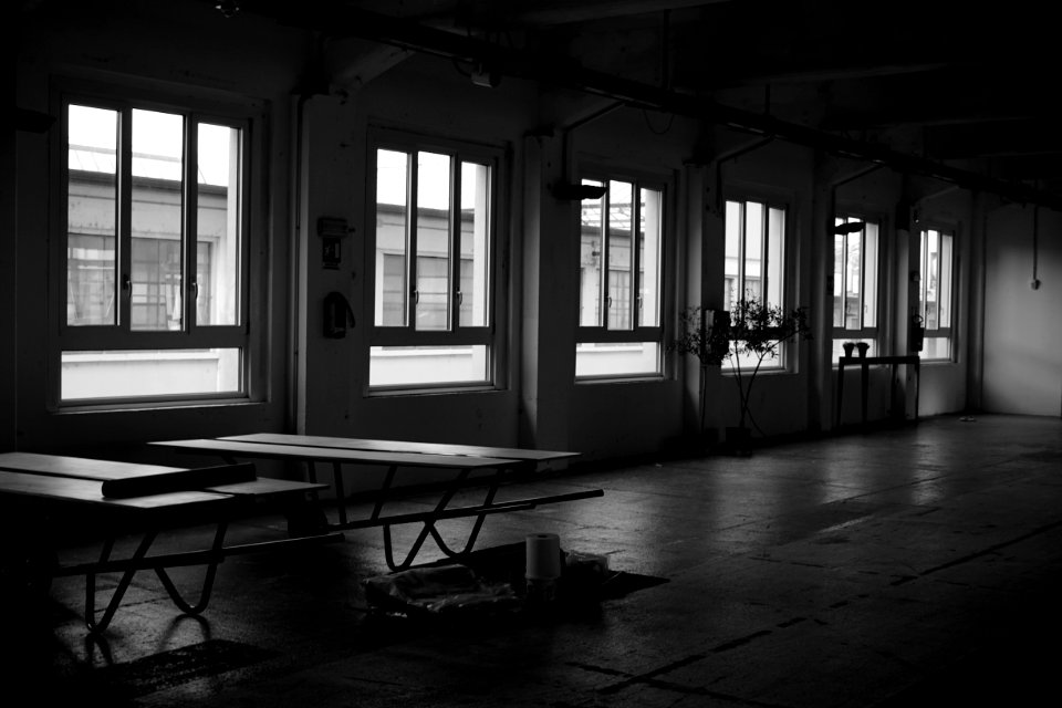 Plants, Table, Windows