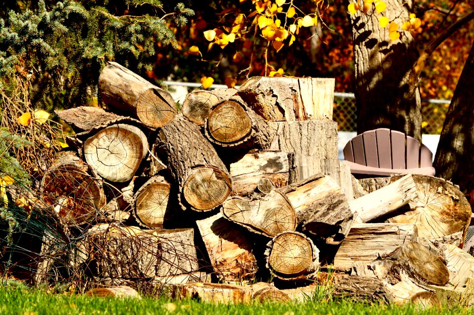 Firewood stack timber