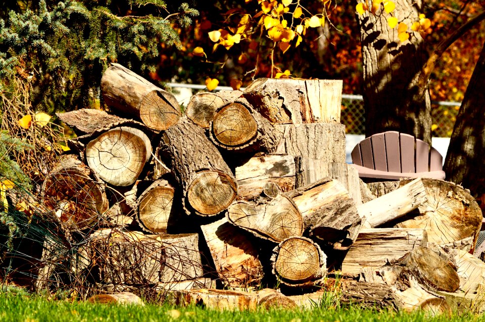 Firewood stack timber photo