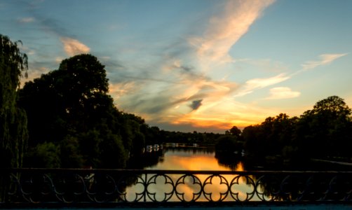 Cookham, United kingdom, Trees photo