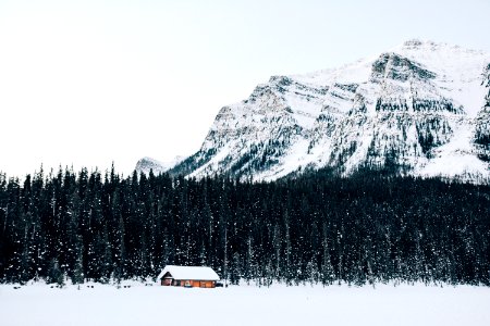 snow-covered cabin near forest photo