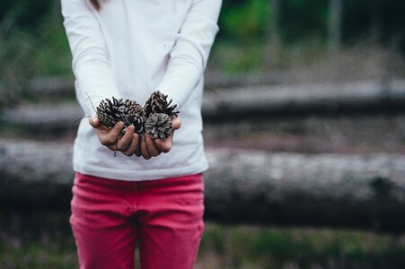 Conifer cones female girl photo