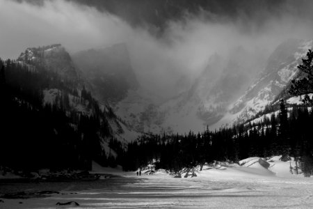 Storm, Trees, Snow
