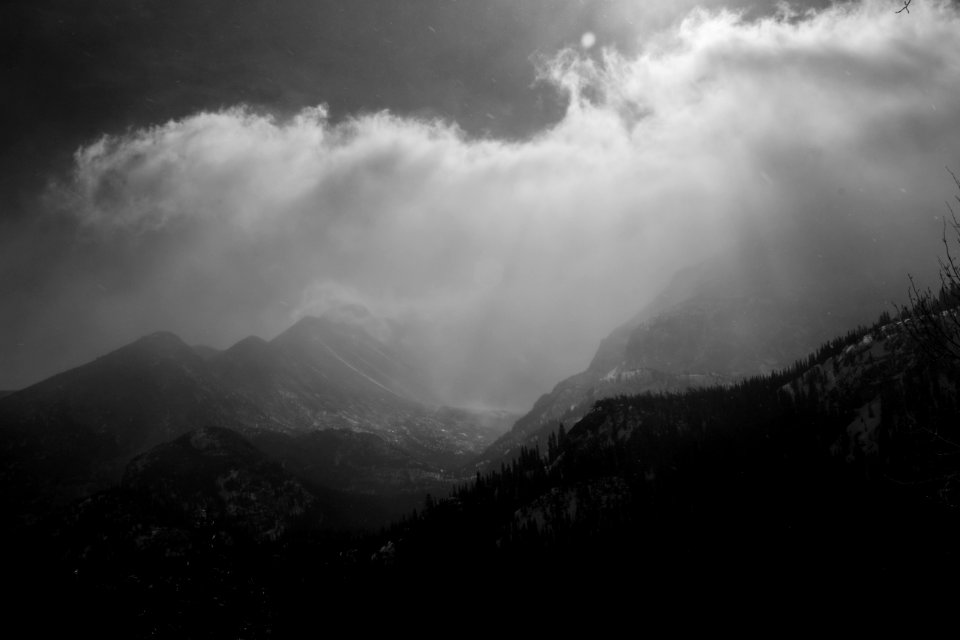 Valley, Trees, Mountain