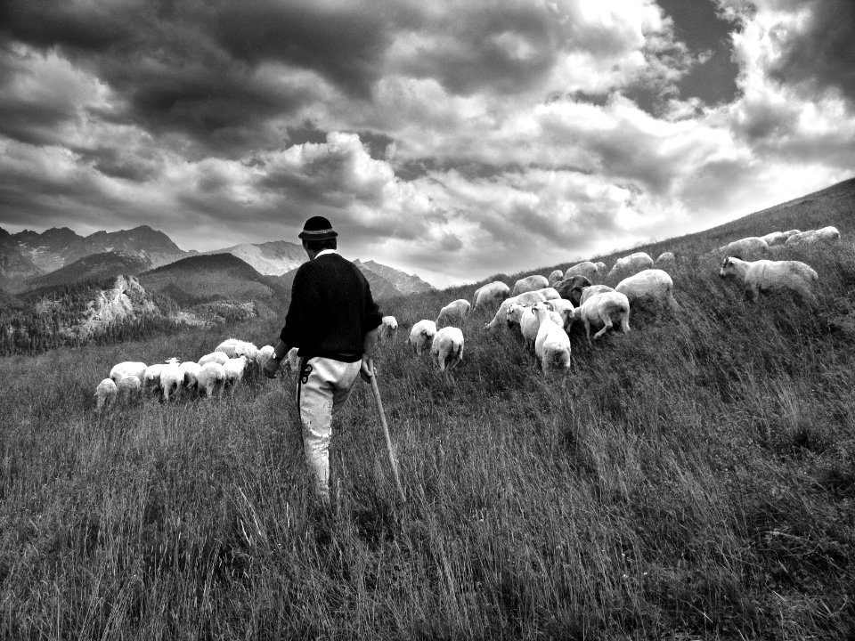 Rusinowa polana, Pol, Tatra mountain