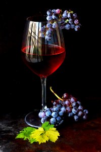 Wine, Wine glass photo