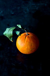 orange fruit on black panel