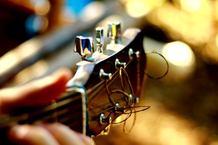 close-up photo of guitar headstock photo