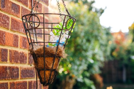 Basket, Scenery, Trees