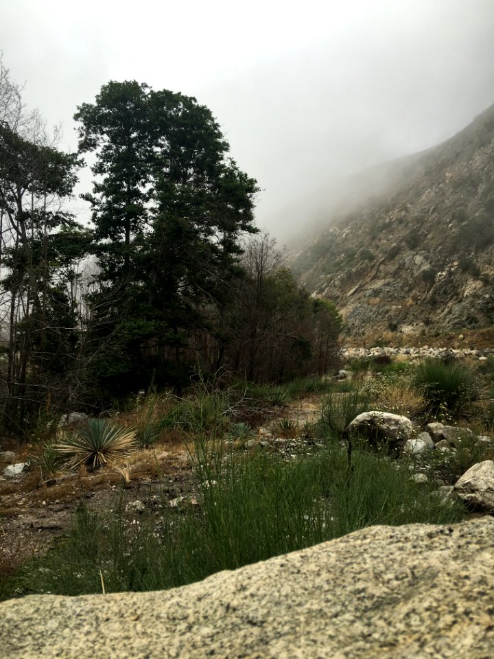 Azusa, California, United states