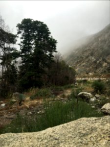 Azusa, California, United states