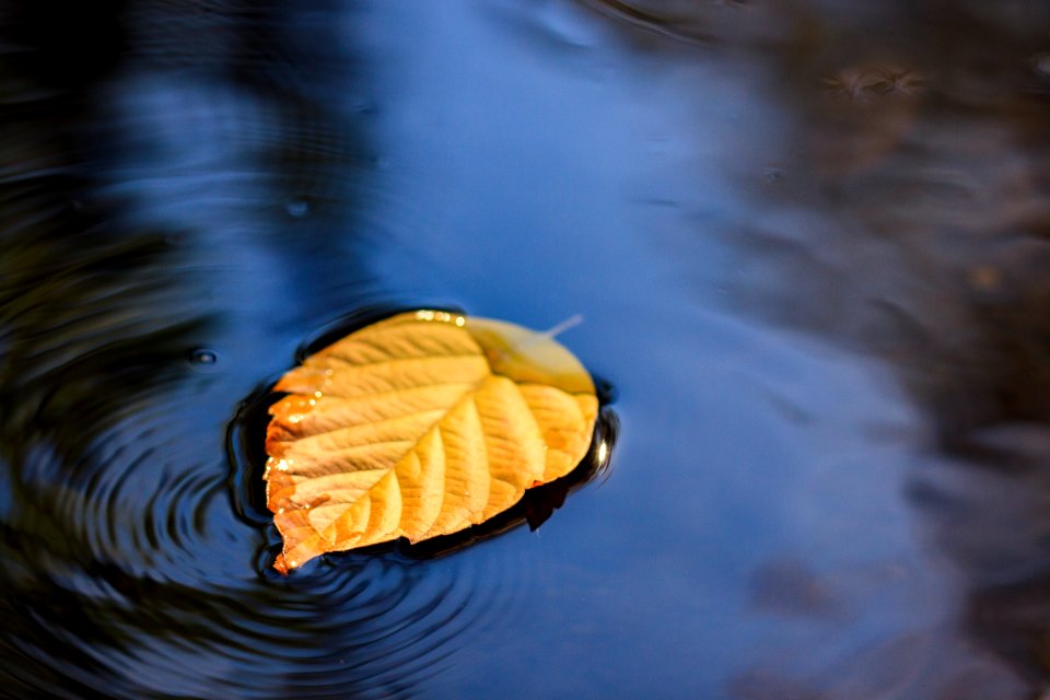 Santee, United states, River
