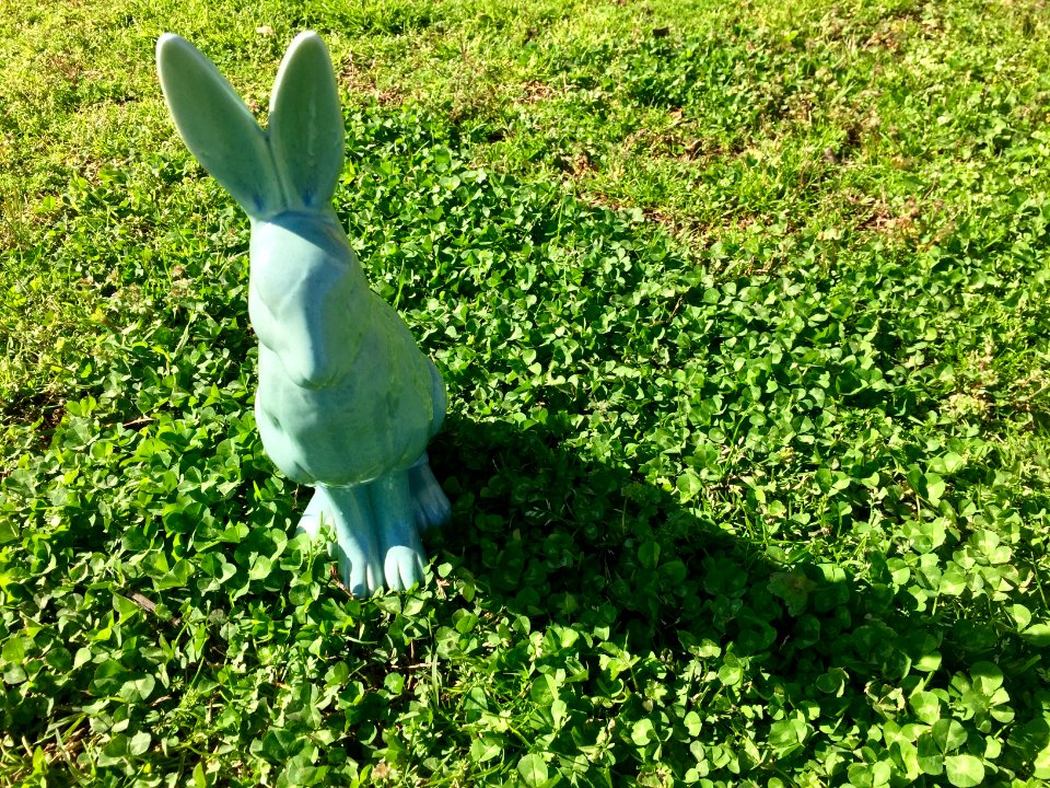 Spring, Green, Outdoors