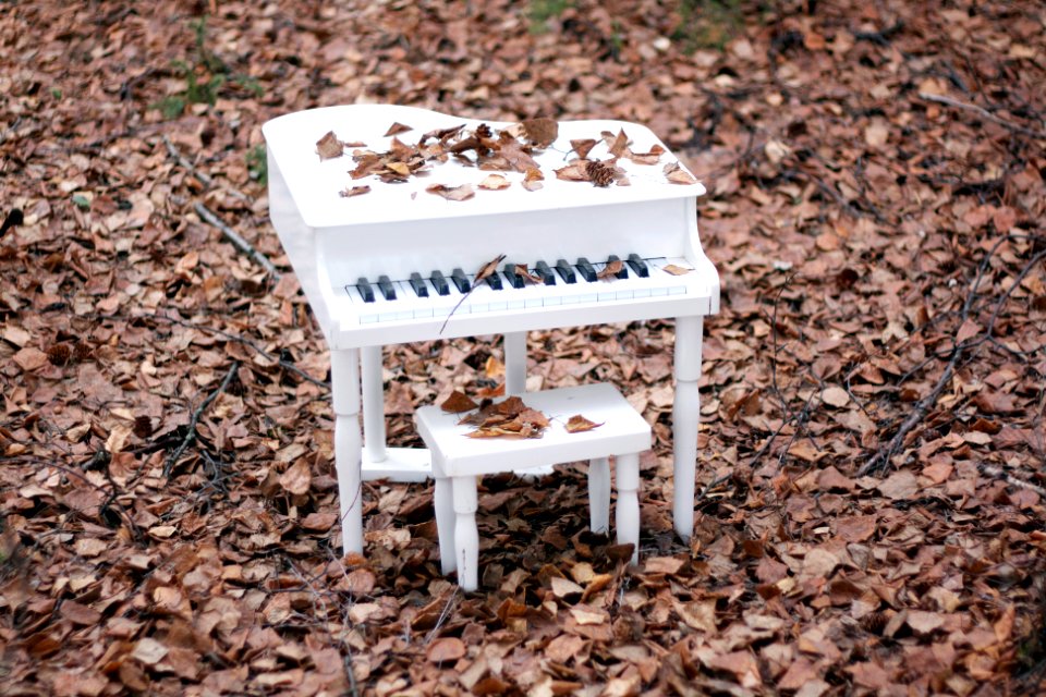 Keyboard, White, Sad