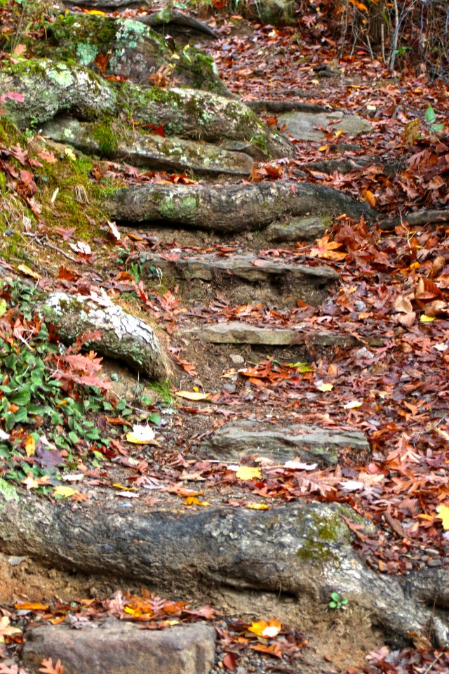 Outdoors, Steps, Rock