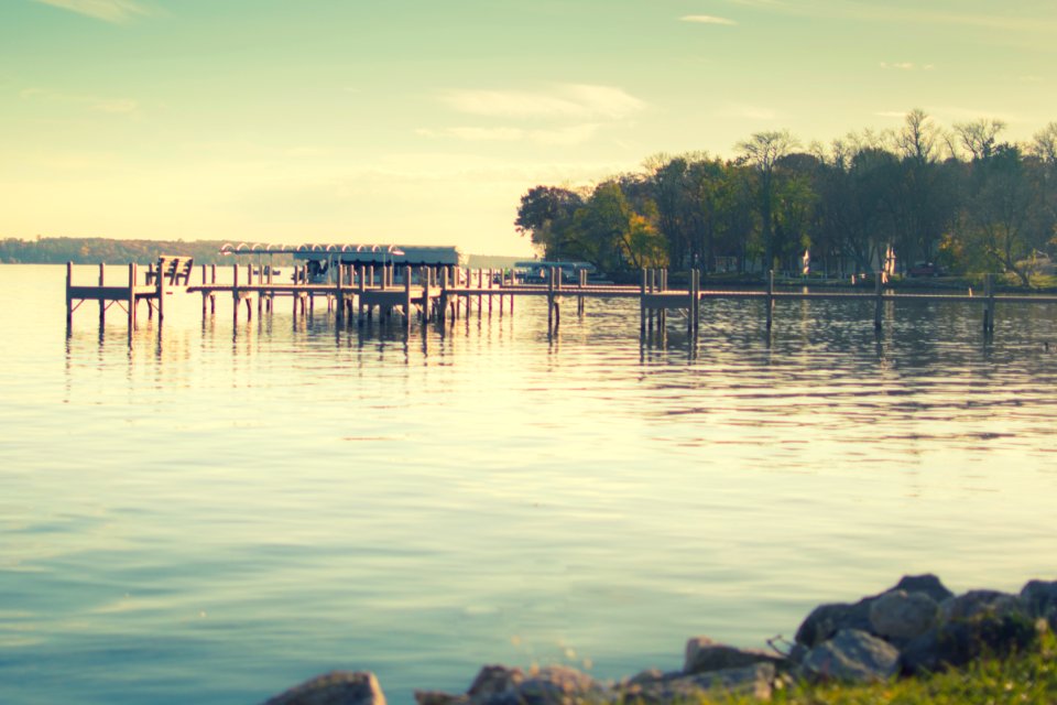 Green lake, United states, Tree