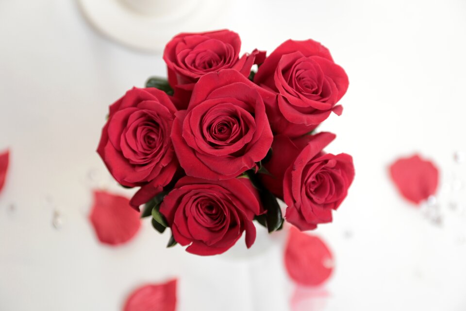 Flowers wedding red